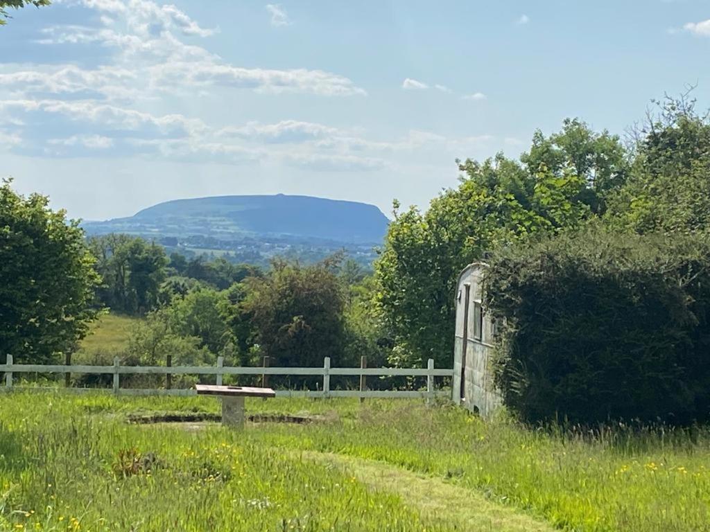 Clover Cottage Sligo Exteriér fotografie