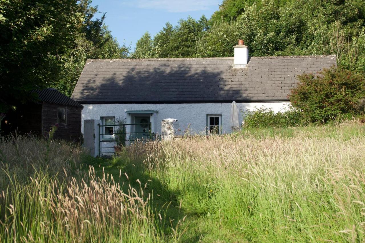 Clover Cottage Sligo Exteriér fotografie