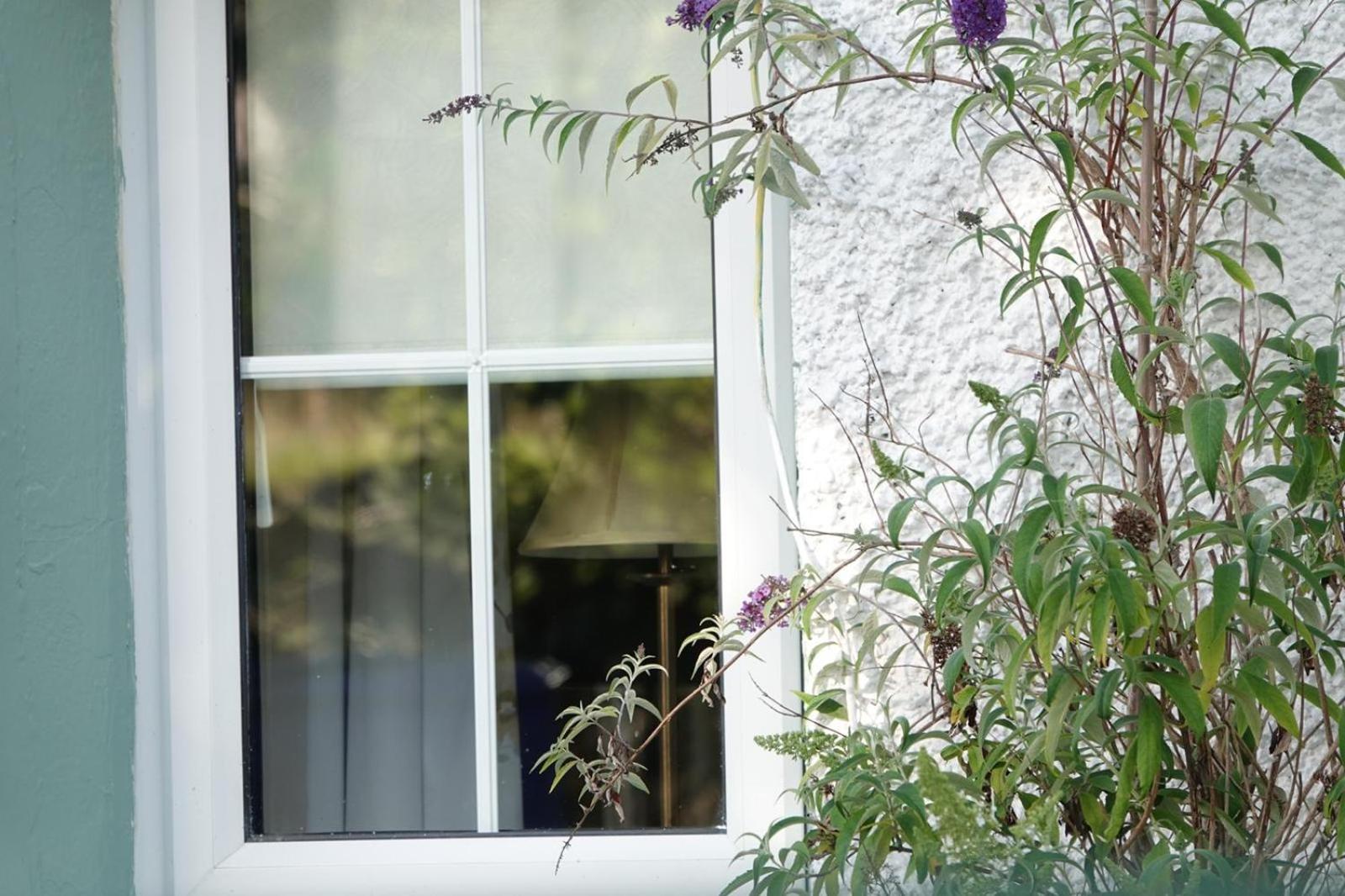 Clover Cottage Sligo Exteriér fotografie
